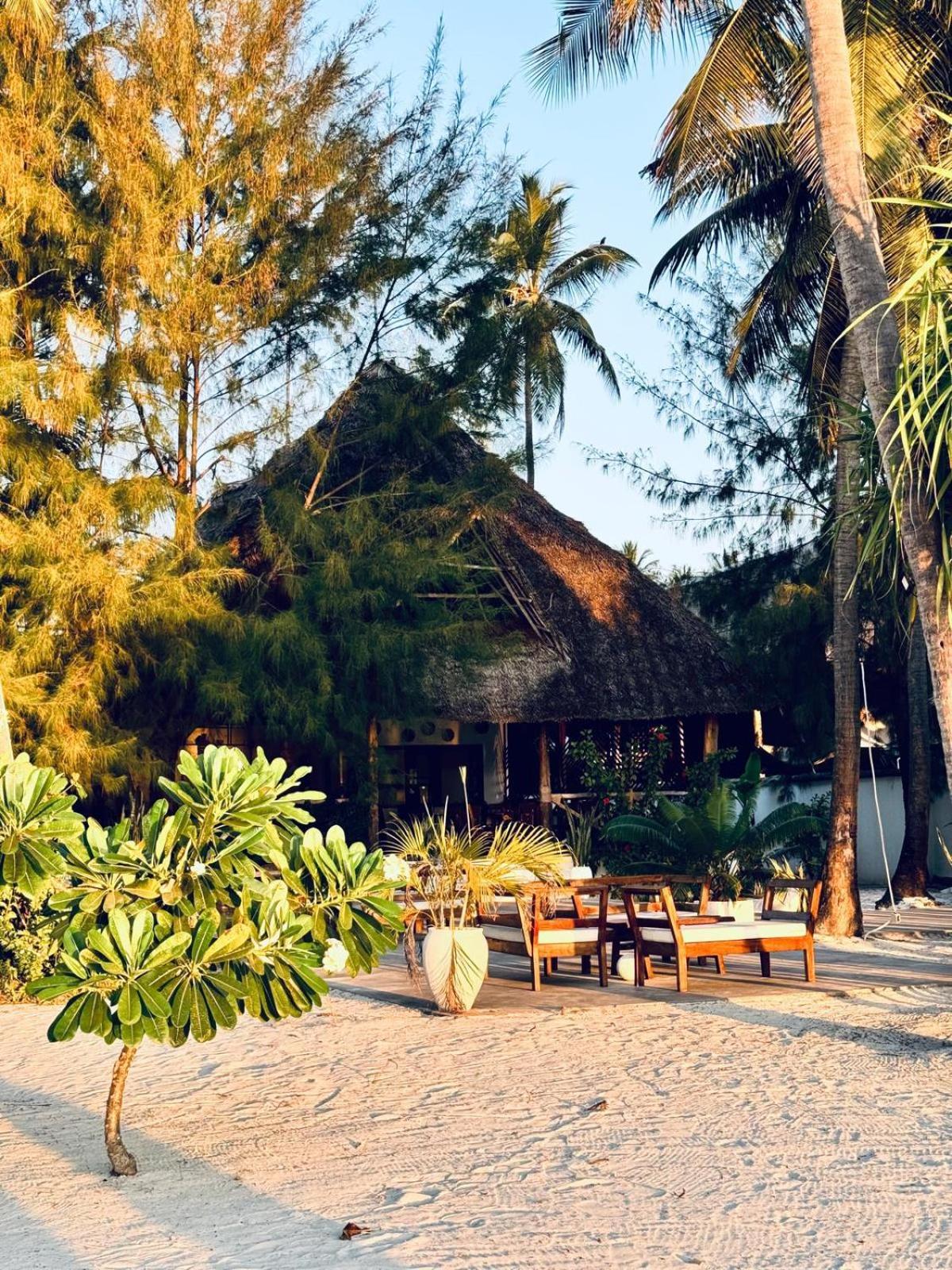 Bahati Sunset Bungalows Michamvi Exteriér fotografie