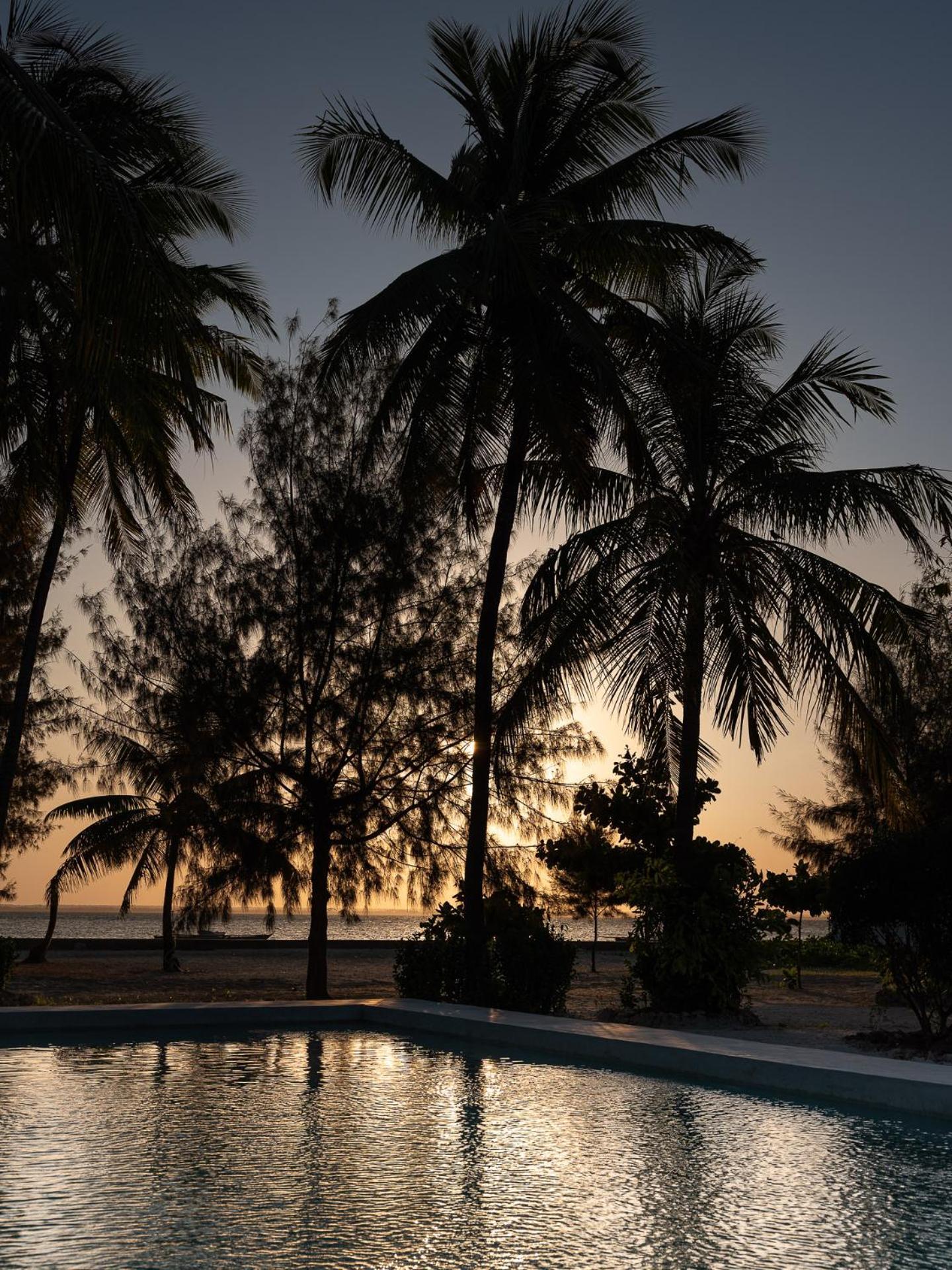 Bahati Sunset Bungalows Michamvi Exteriér fotografie